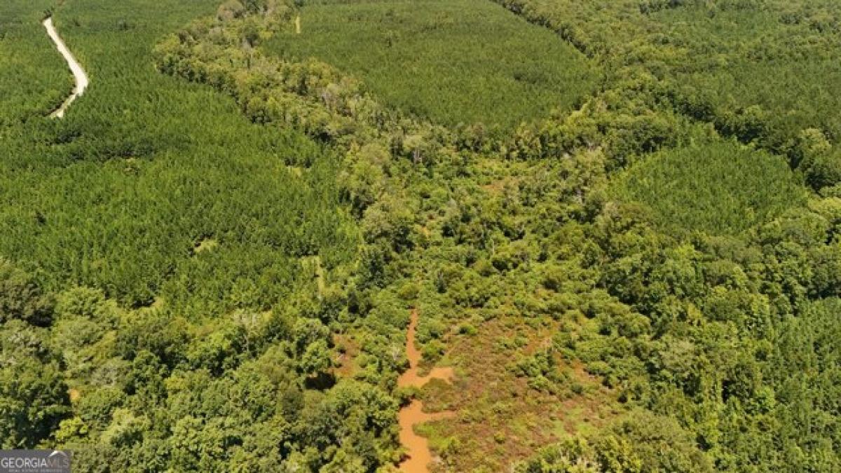  Land in Waverly Hall, USA No. 512040