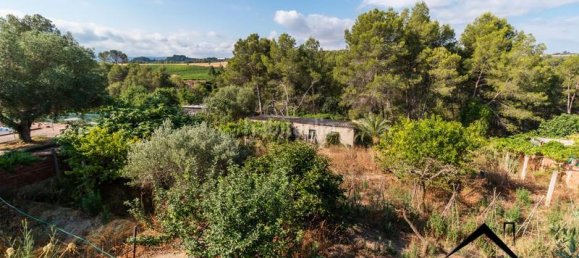 4 bedrooms House in Masquefa, Spain No. 182138 5