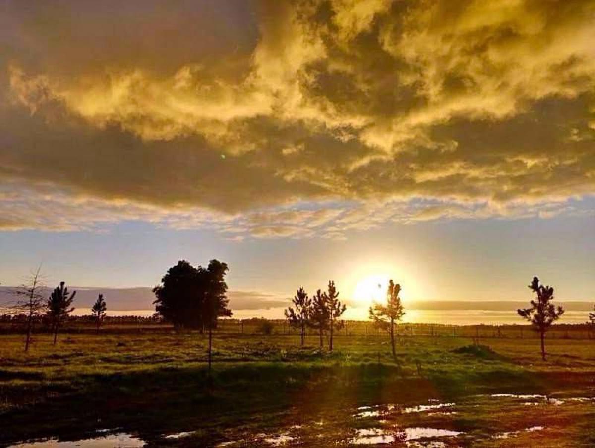 Land in Marcos Paz, Argentina No. 121459