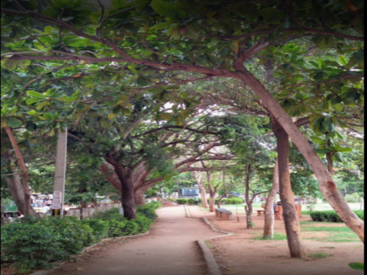  Land in Hyderabad, India No. 36563