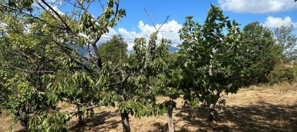 4-Zimmer Haus in Lauria, Italy, Nr. 267620 12