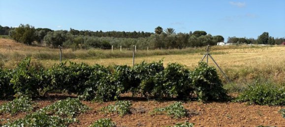 3 chambres Maison à Huelva, Spain No. 147862 28