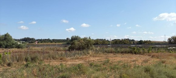 3 chambres Maison à Huelva, Spain No. 147862 47