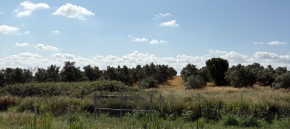 3 chambres Maison à Huelva, Spain No. 147862 44