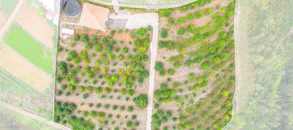 10000m² Land in Calheta, Portugal No. 109592 22