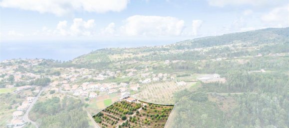 10000m² Land in Calheta, Portugal No. 109592 16