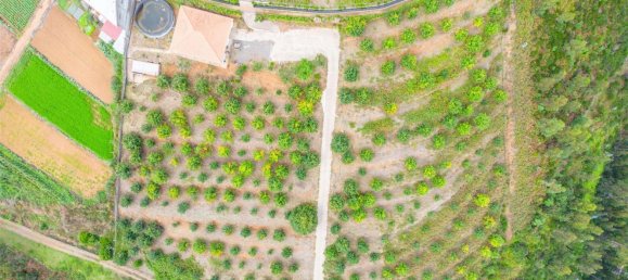 10000m² Land in Calheta, Portugal No. 109592 21