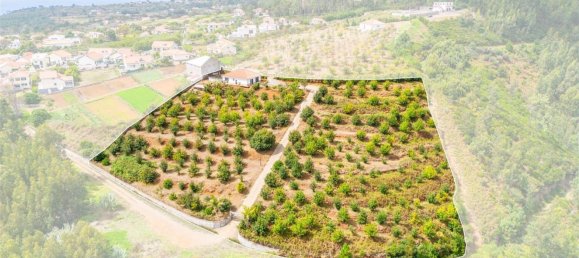 10000m² Land in Calheta, Portugal No. 109592 20