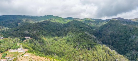 10000m² Land in Calheta, Portugal No. 109592 13