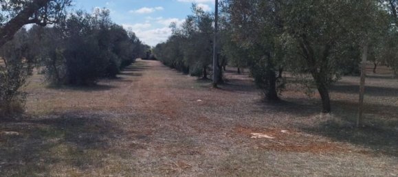 2 rooms House in San Michele Salentino, Italy No. 256939 2