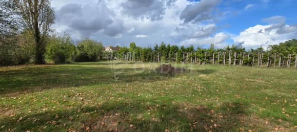  Land in Loire, France No. 346471 2