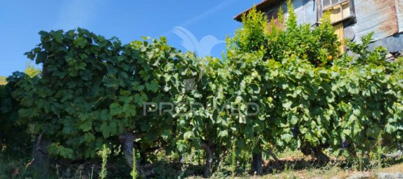 2 bedrooms Castles in Santa Marta de Penaguiao, Portugal No. 131200 25