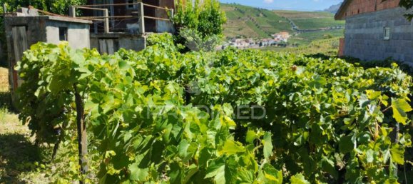 2 bedrooms Castles in Santa Marta de Penaguiao, Portugal No. 131200 14