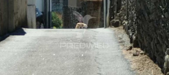 2 bedrooms Castles in Santa Marta de Penaguiao, Portugal No. 131200 5