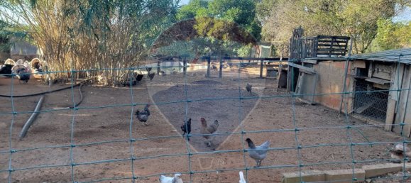 6610m² Land in Lagoa, Portugal No. 41009 7