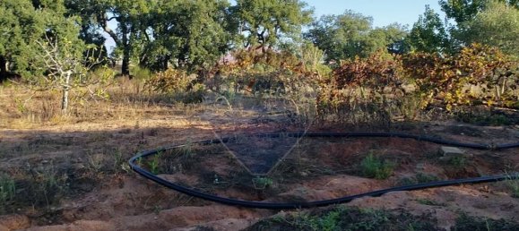 6610m² Land in Lagoa, Portugal No. 41009 3