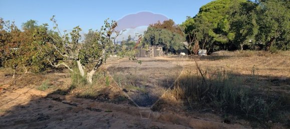 6610m² Land in Lagoa, Portugal No. 41009 4