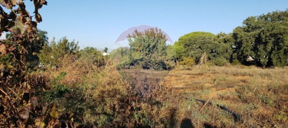 6610m² Land in Lagoa, Portugal No. 41009 2