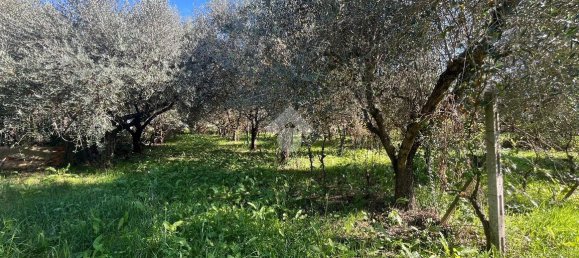 Terreno em Monterotondo, Italy 1600 m² N.º 166675 9