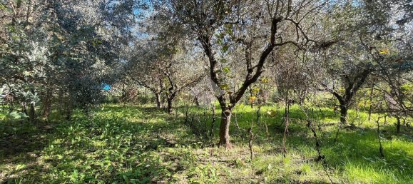 Terreno em Monterotondo, Italy 1600 m² N.º 166675 7