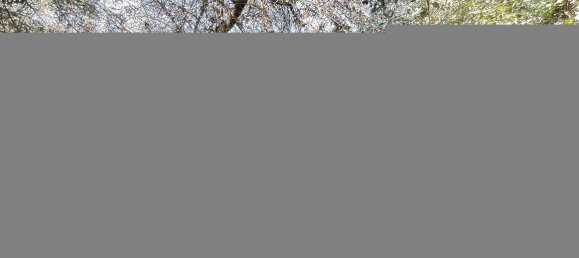 Terreno em Monterotondo, Italy 1600 m² N.º 166675 16