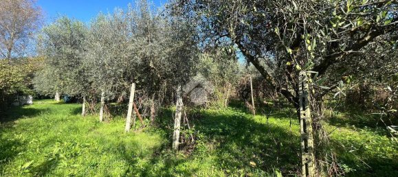 Terreno em Monterotondo, Italy 1600 m² N.º 166675 5