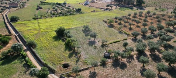 Casa T9 em Seia, Portugal N.º 15610 6