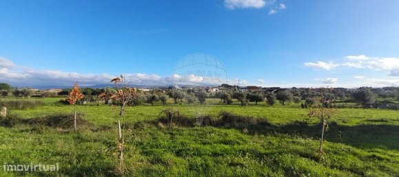 Casa T9 em Seia, Portugal N.º 15610 8