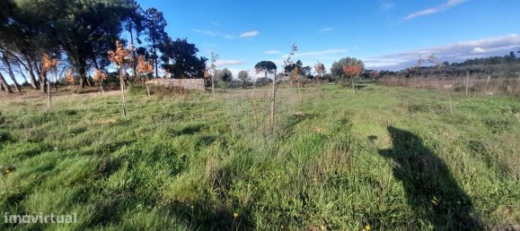 Casa T9 em Seia, Portugal N.º 15610 4