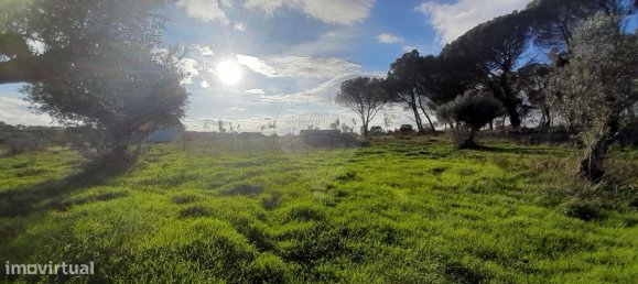 Casa T9 em Seia, Portugal N.º 15610 2
