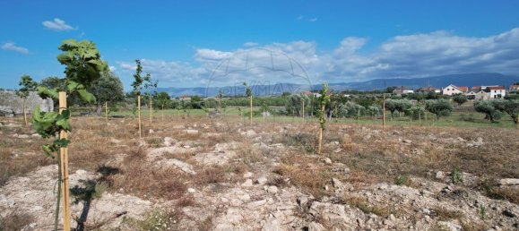 Casa T9 em Seia, Portugal N.º 15610 5