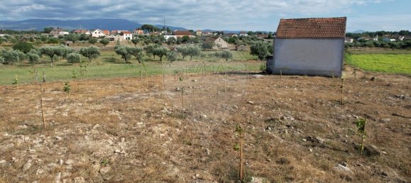 Casa T9 em Seia, Portugal N.º 15610 7
