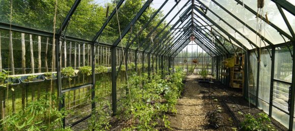 9 Schlafzimmer Bauernhof in Nordfriesland, Germany, Nr. 262878 20