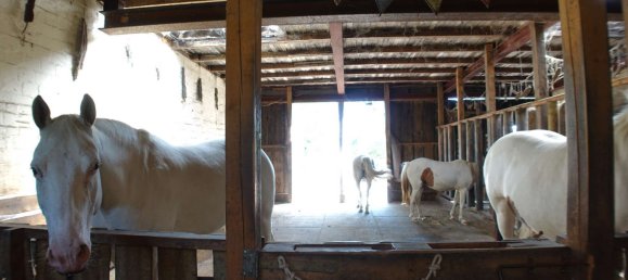 9 Schlafzimmer Bauernhof in Nordfriesland, Germany, Nr. 262878 29