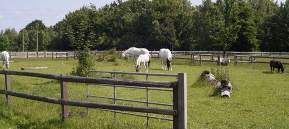 9 Schlafzimmer Bauernhof in Nordfriesland, Germany, Nr. 262878 31