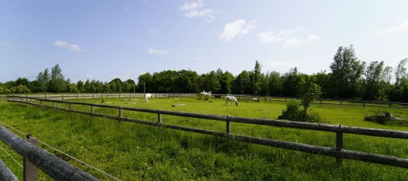 9 Schlafzimmer Bauernhof in Nordfriesland, Germany, Nr. 262878 33