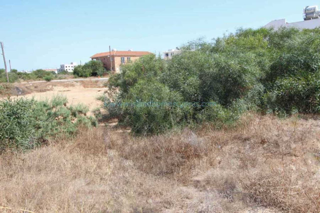  Land in Paralimni, Cyprus No. 24093