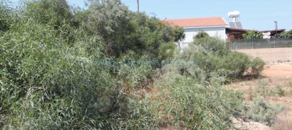  Land in Paralimni, Cyprus No. 24093 4