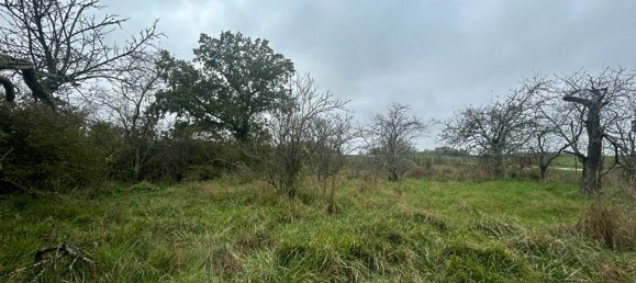 Terreno en Courcelles-sur-Nied, France No. 222468 3