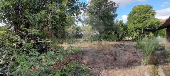 6 Schlafzimmer Haus in Anadia, Portugal, Nr. 48427 14