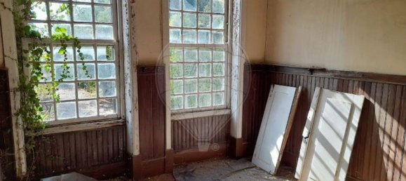 6 Schlafzimmer Haus in Anadia, Portugal, Nr. 48427 22