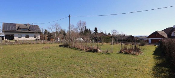  قطعة أرض في Neuhofen an der Krems, Austria رقم 165341 6