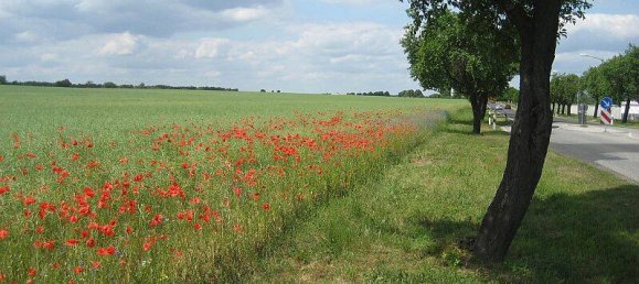 4 Schlafzimmer Stadthaus in Havelland, Germany, Nr. 346163 8