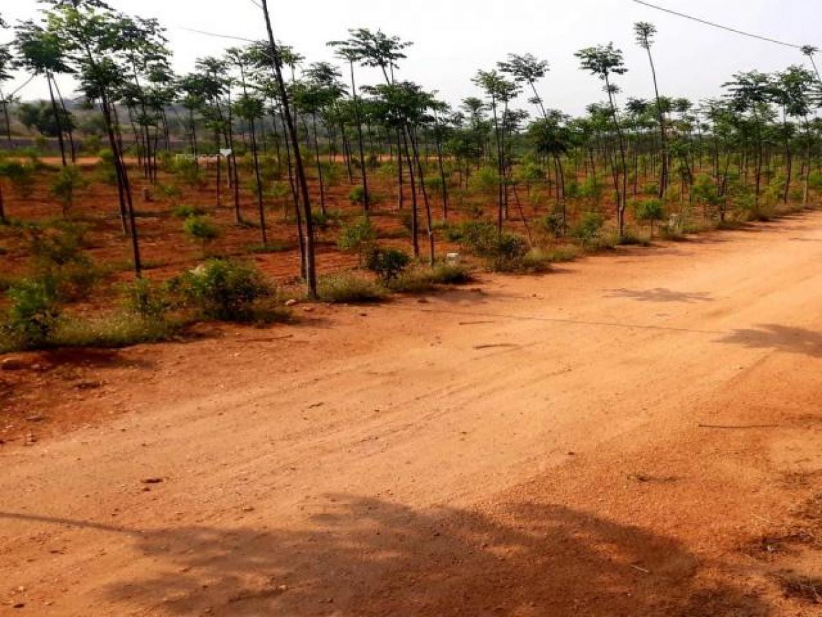  Land in Hyderabad, India No. 31125