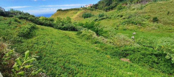 Grundstück in Ribeira Grande, Portugal 4800m², Nr. 243390 11