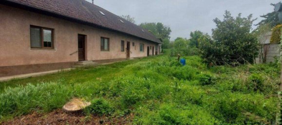 4غرفة منزل في Edelstal, Austria رقم 249477 7