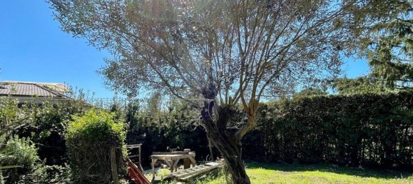 6 rooms House in Bracciano, Italy No. 11112 11