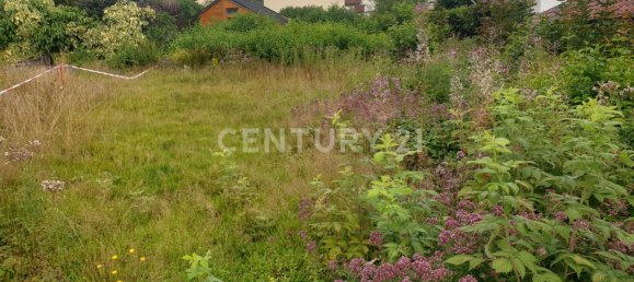 قطعة أرض في Markischer, Germany رقم 354795 5