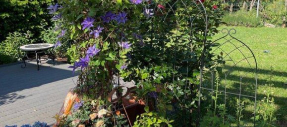 7-salle Bureau à Sollenau, Austria No. 49607 9