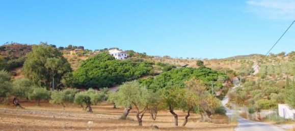 5 bedrooms House in Coin, Spain No. 125791 7